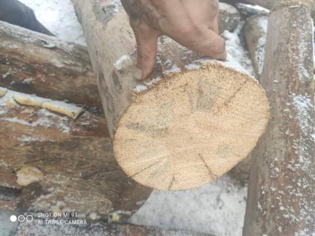 Nuolatos Parduodame sausa mediena Pigiausiai