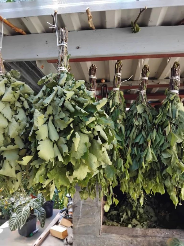 Vantos pirtims ąžuolinės,beržinės su priedais:raudonėlis, ramunėlės, dilgėlės, melisa. Vnt-2,5eur.teirautis telef. 067343154,Antanas., Panevėžys — 2/2