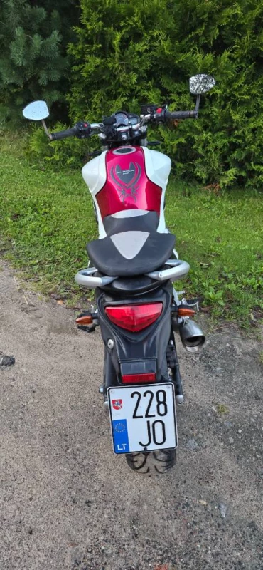 Suzuki SFV (GLADIUS)650cm, Gargždai — 5/7