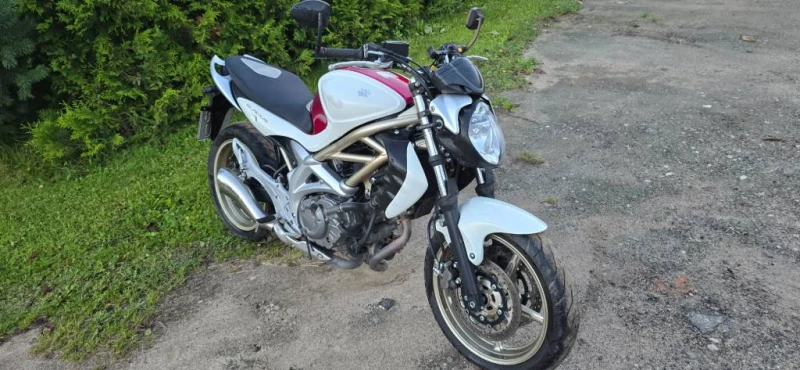 Suzuki SFV (GLADIUS)650cm, Gargždai — 1/7