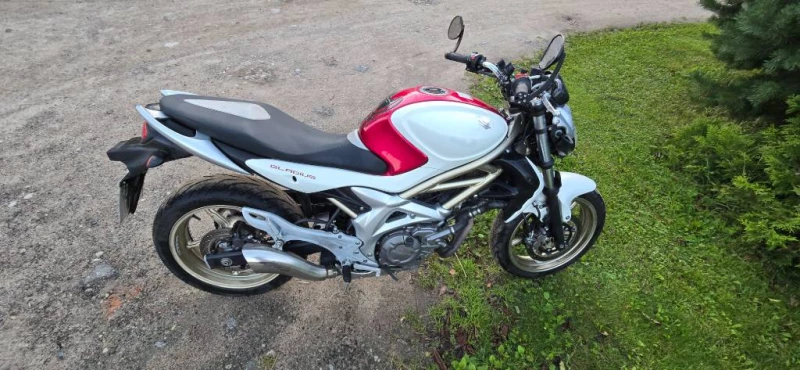 Suzuki SFV (GLADIUS)650cm, Gargždai — 7/7