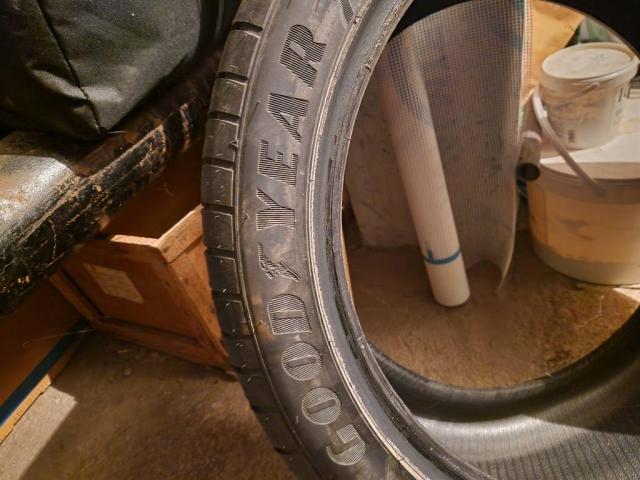 GOODYEAR padangos R19