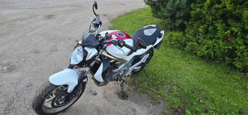 Suzuki SFV (GLADIUS)650cm, Gargždai — 3/7