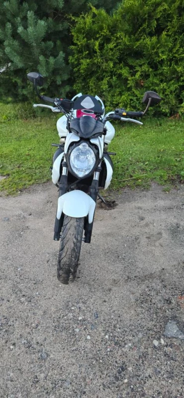 Suzuki SFV (GLADIUS)650cm, Gargždai — 4/7